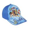 PAW PATROL