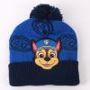 PAW PATROL