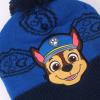 PAW PATROL