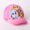 PAW PATROL
