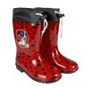 LADY BUG