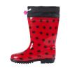LADY BUG