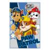 PAW PATROL