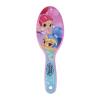 SHIMMER AND SHINE
