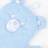 CARE BEARS