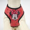 MINNIE