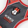MINNIE
