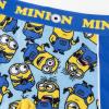MINIONS