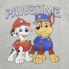 PAW PATROL
