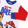 PAW PATROL