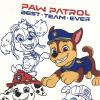 PAW PATROL