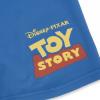 TOY STORY