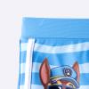 PAW PATROL