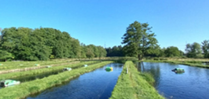 Forellenzucht - Am Vogelherd -