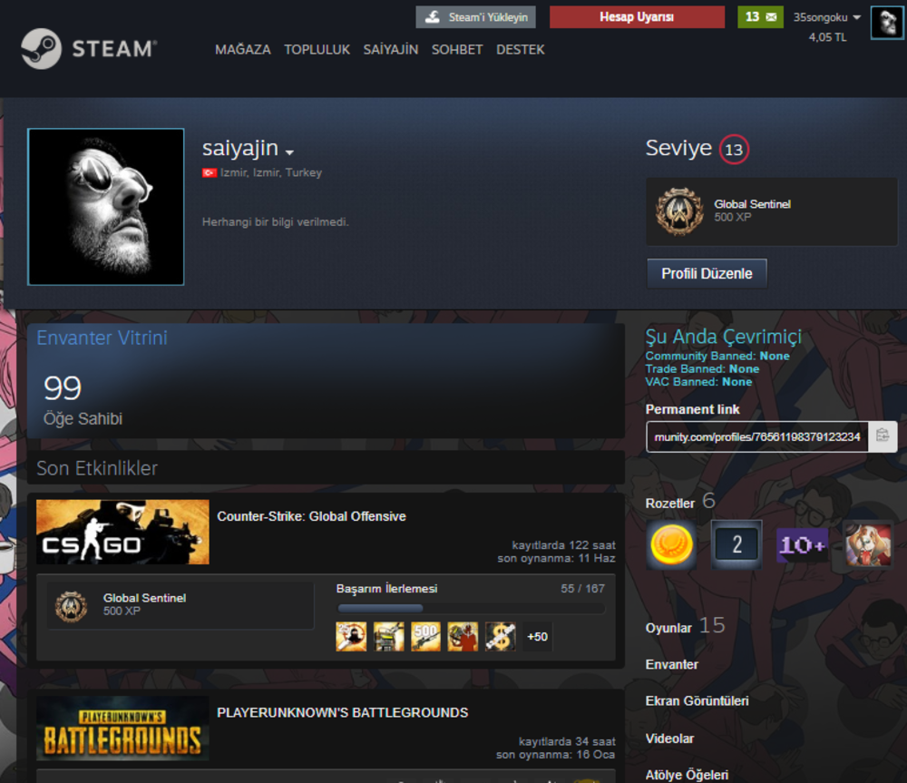 Envanterli Steam Hesabi Urununu Saiyajin Magazasindan Satin Al Gamesatis