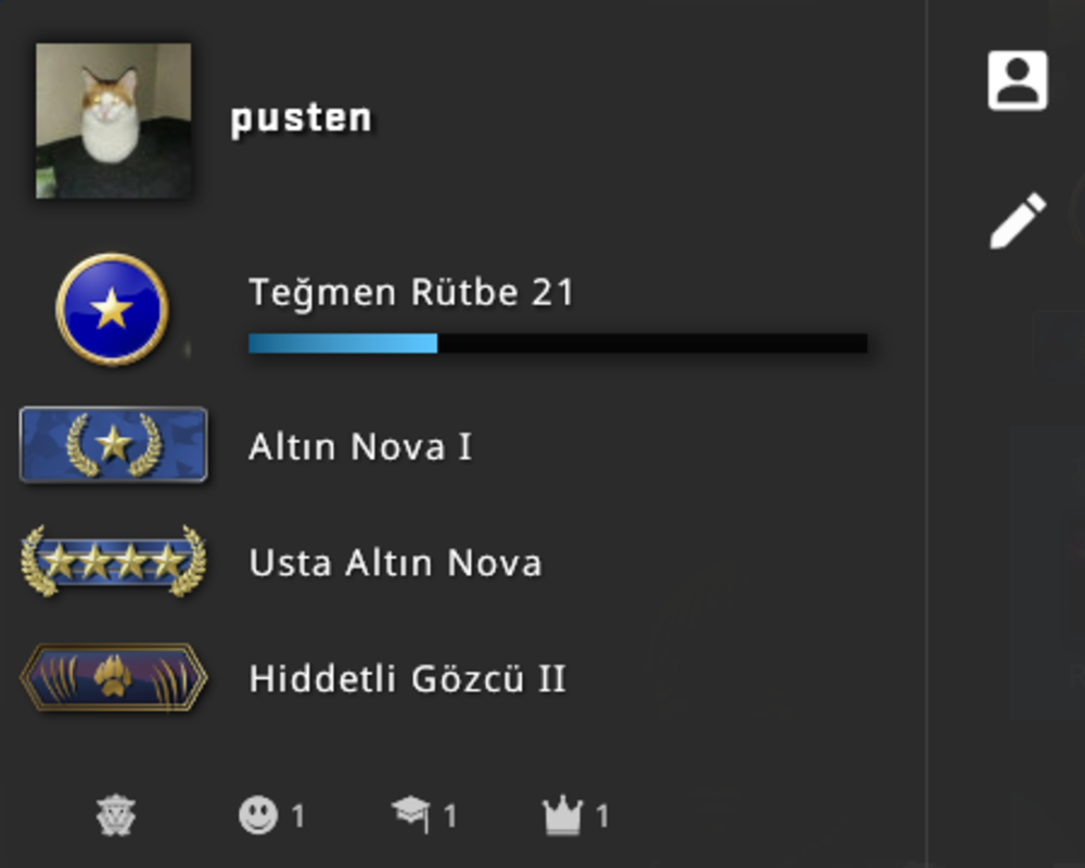 35 Tl Csgo Prime Hesap Urununu Anue Magazasindan Satin Al Gamesatis