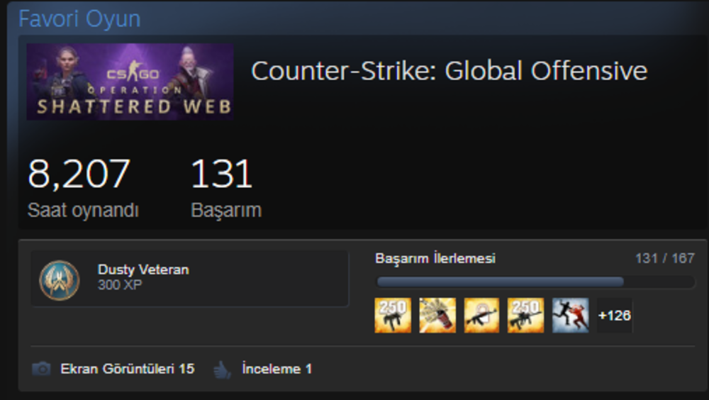 8200 Saat Faceit 10 Level Supreme Hesap Urununu Donjuan05 Magazasindan Satin Al Gamesatis
