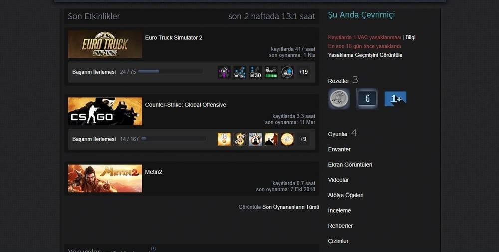 CS GO ve ETS 2 FULL HARİTA DLC Li ürününü ebayrak41 mağazasından Satın