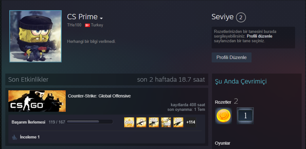 Csgo Prime Kartal Hesap Urununu Yakamoz Magazasindan Satin Al Gamesatis