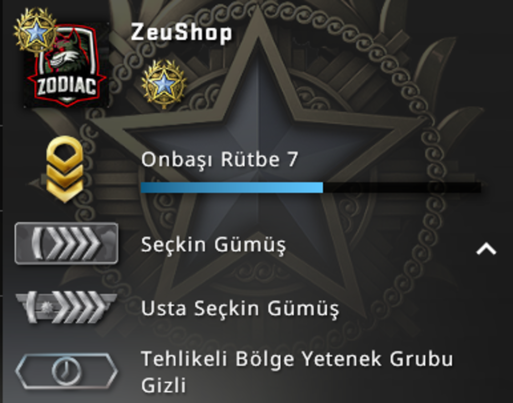 Silver Elite Csgo Prime Hesap 1 Madalya Urununu Zeushop Magazasindan Satin Al Gamesatis