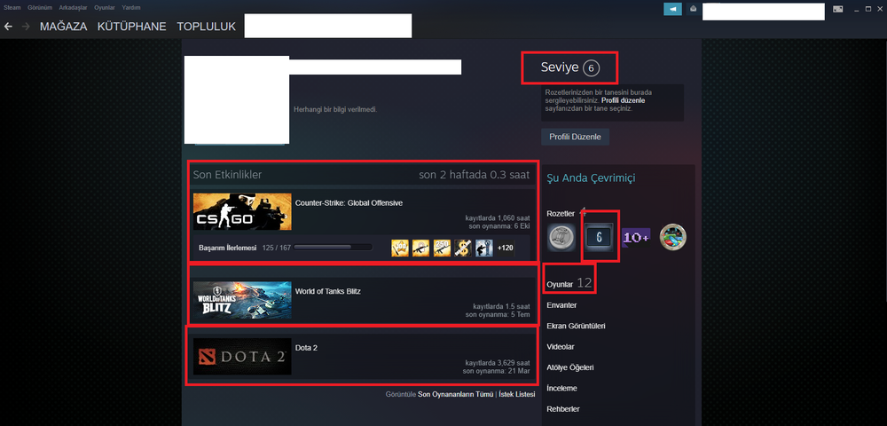 6 Madalyali 421 Winli 1 060 Saatli 150 Tl Steam Oy Urununu Hizliteslim Magazasindan Satin Al Gamesatis