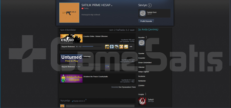 Cs Go Prime Hesap 2 Jeton Urununu Ahmet Eloboost Magazasindan Satin Al Gamesatis