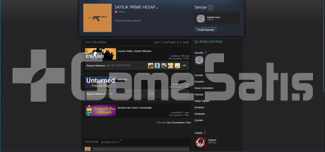 Cs Go Prime Hesap 2 Jeton Urununu Ahmet Eloboost Magazasindan Satin Al Gamesatis