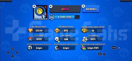 Brawl Stars 23.5k hesap ürününü mezll05 shop mağazasından ...