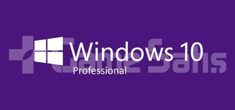 Windows 10 Pro Lisans Anahtari Urununu Online Store Magazasindan Satin Al Gamesatis