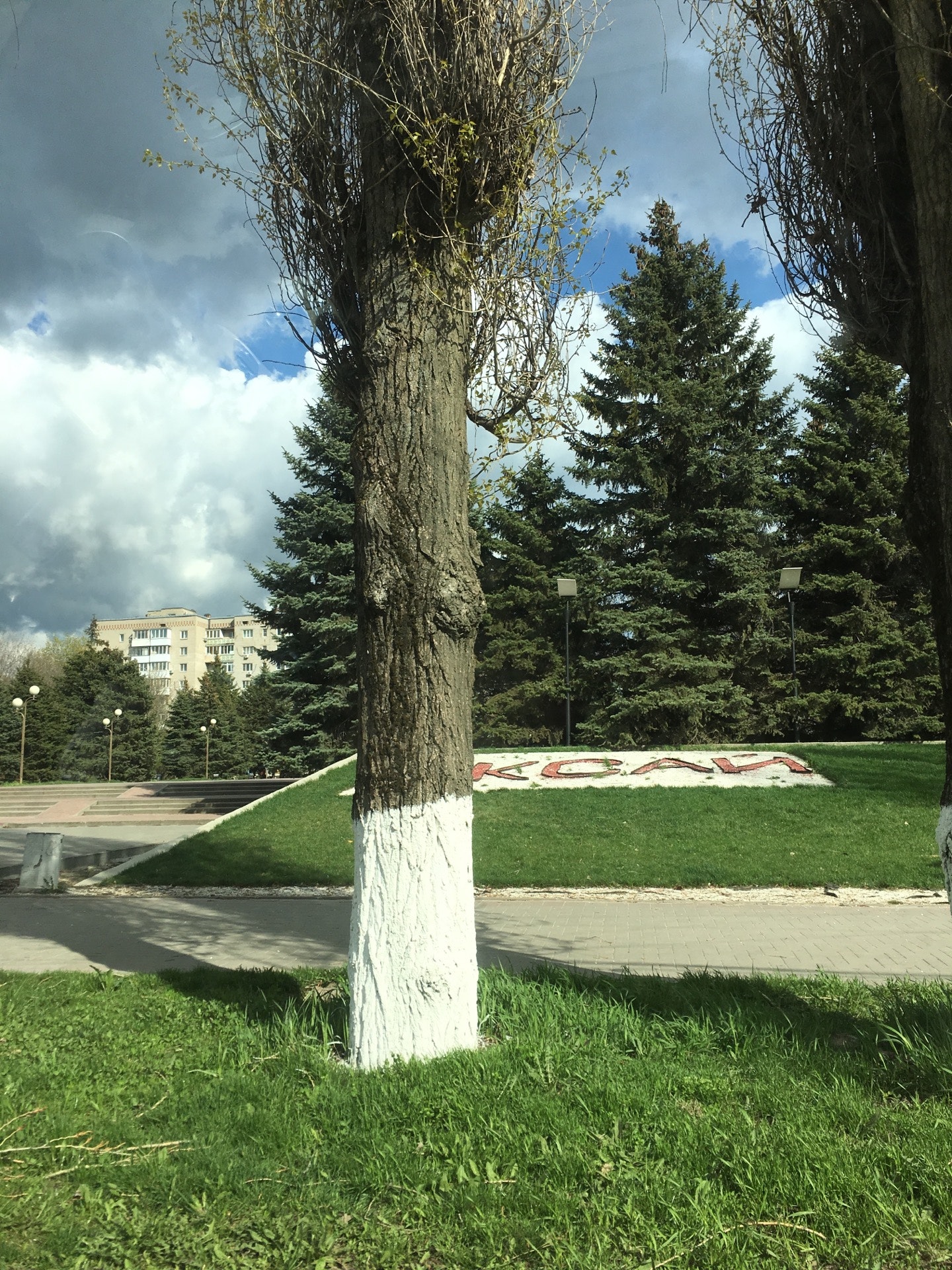 ростов осака береговая. осака заречный свердловская область. я люблю суши заказать. ролл осака ростов. пиццерия quattro в куйбышеве.