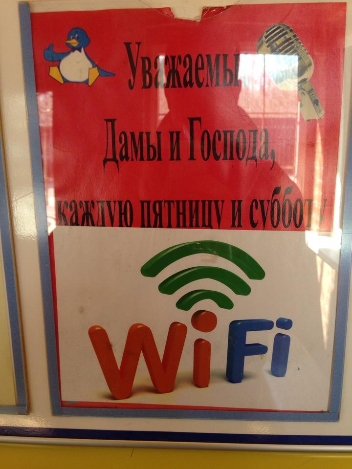 Ярославль кафе пингвин