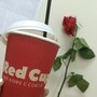 фото Red Cup 2