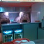 фото Кафе быстрого питания Турецкий Тандыр 3