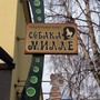 фото Кафе-клуб Собака Милле 9