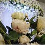 фото Ресторан «Северный» 3