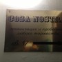 фото Cosa Nostra компания 2