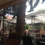 фото Кафе Веранда 9