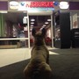 фото Hesburger 8