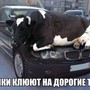 фото Дилерский центр АвтоСпецЦентр KIA 3