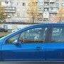 фото Автосалон Максимус 2