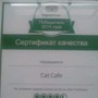 фото Кафе Кэт 5