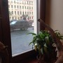 фото Кафе Лукоморье 3