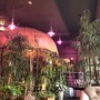 фото Ресторан The сад 2