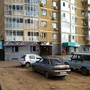 фото Голубка 4