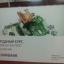 фото БИНБАНК 2