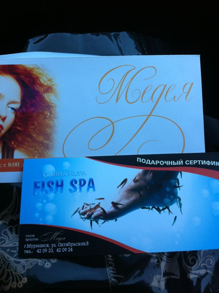 Врачи медея челябинск. Медея косметолог москва тверская. Центр медея мурманск. Косметология медея мурманск. Медея мурманск.