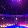 фото Цирк 5