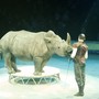 Чем заняться в новокузнецке. Смотреть фото Чем заняться в новокузнецке. Смотреть картинку Чем заняться в новокузнецке. Картинка про Чем заняться в новокузнецке. Фото Чем заняться в новокузнецке