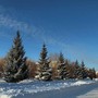 фото Городской сад 6