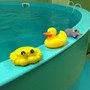 фото Детский бассейн и центр грудничкового плавания Лягушонок 3